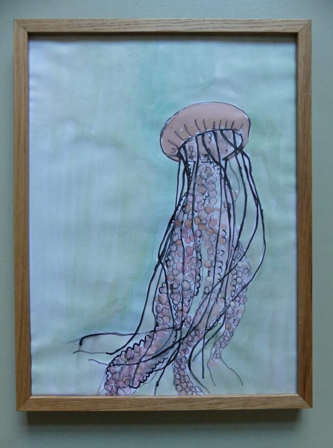 Qualle tinte Zeichnungen